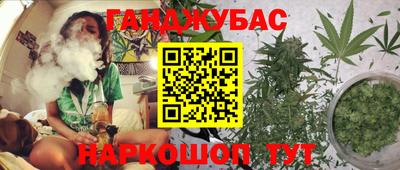 дмт Ставрополь